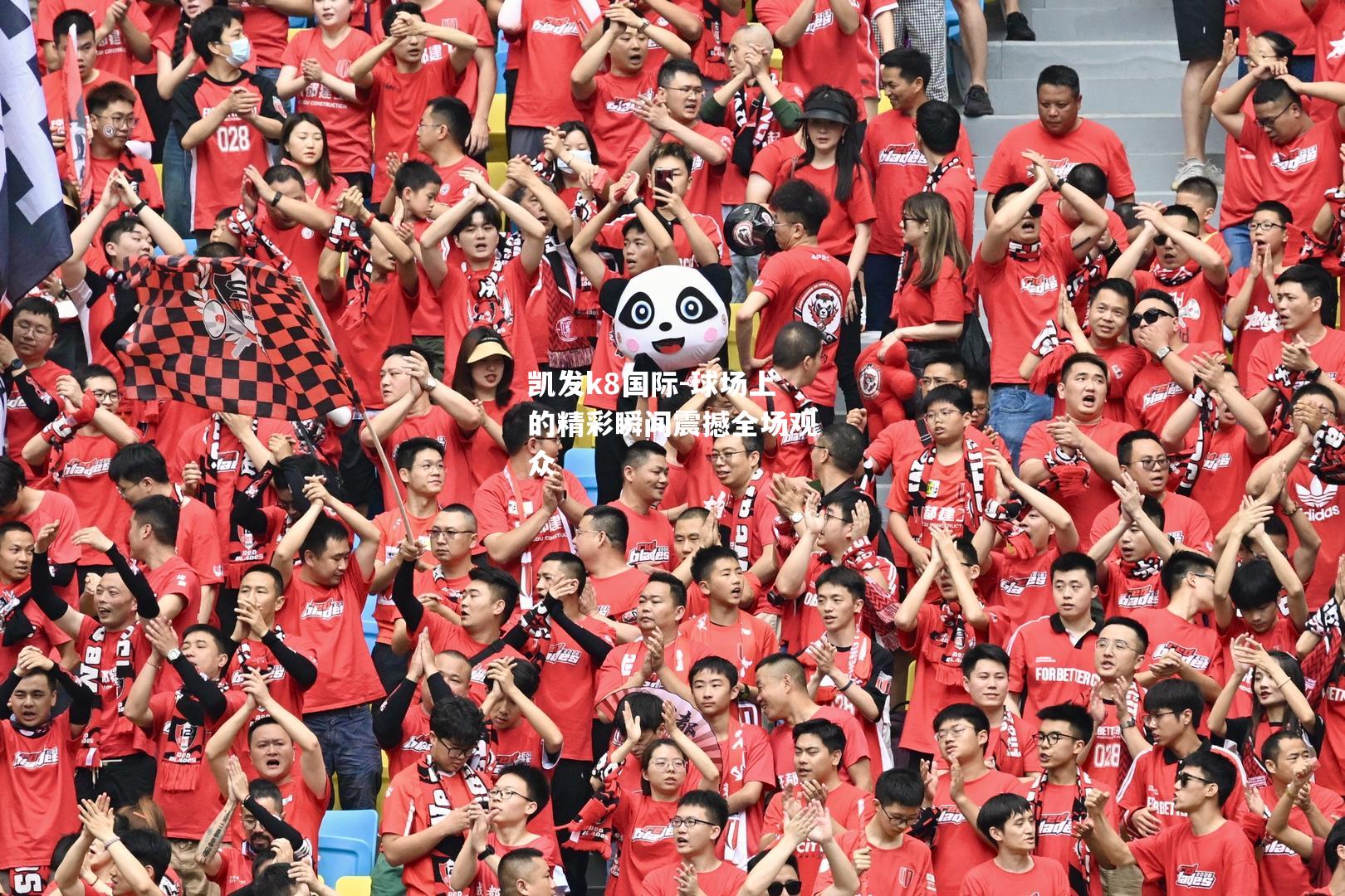 球场上的精彩瞬间震撼全场观众